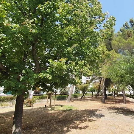 Apartamento 3 Avec Balcon Et Parking *